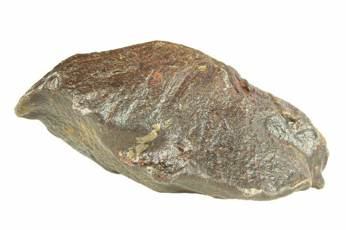 Gebel Kamil Iron Meteorite ( g) - Egypt #291818